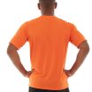 ms04-orange_back.jpg
