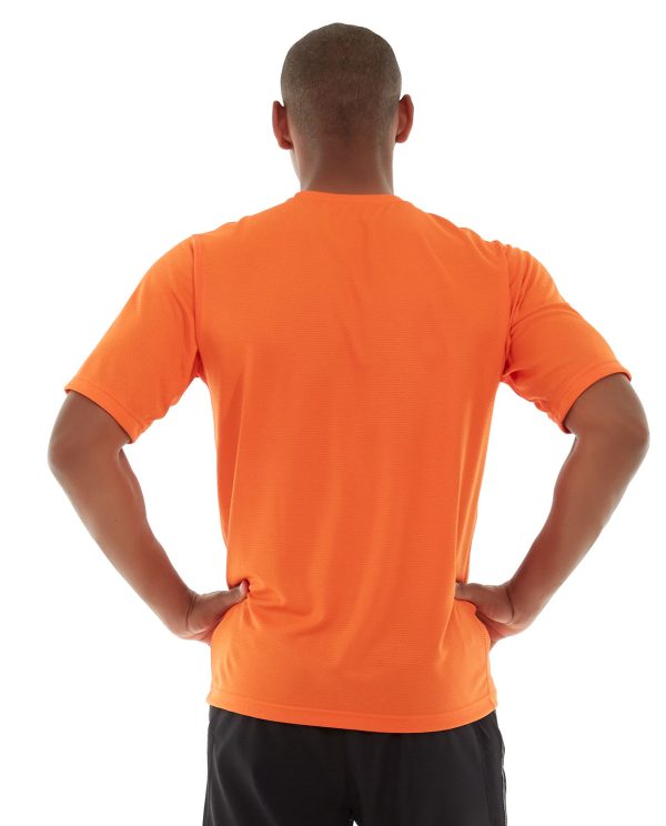 ms04-orange_back.jpg ms04-orange_back.jpg