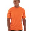 ms04-orange_main.jpg