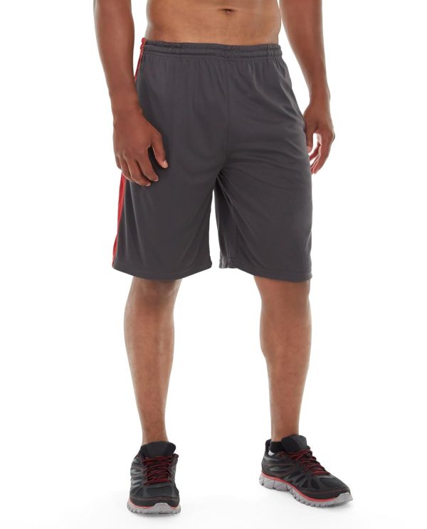 msh05-gray_main.jpg