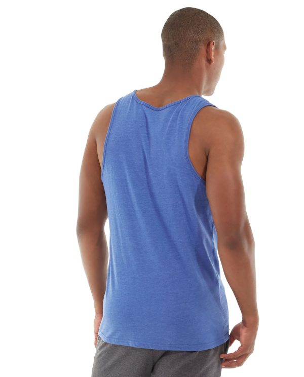 mt04-blue_back.jpg mt04-blue_back.jpg